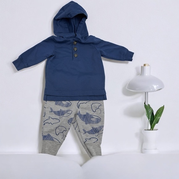 Carter’s Blue Hoodie and Gray Whale Print Pants Set - Picture 1 of 10